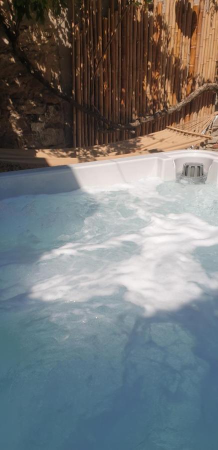 Maison De Maitre A Bram # Jacuzzi Villa Exterior foto